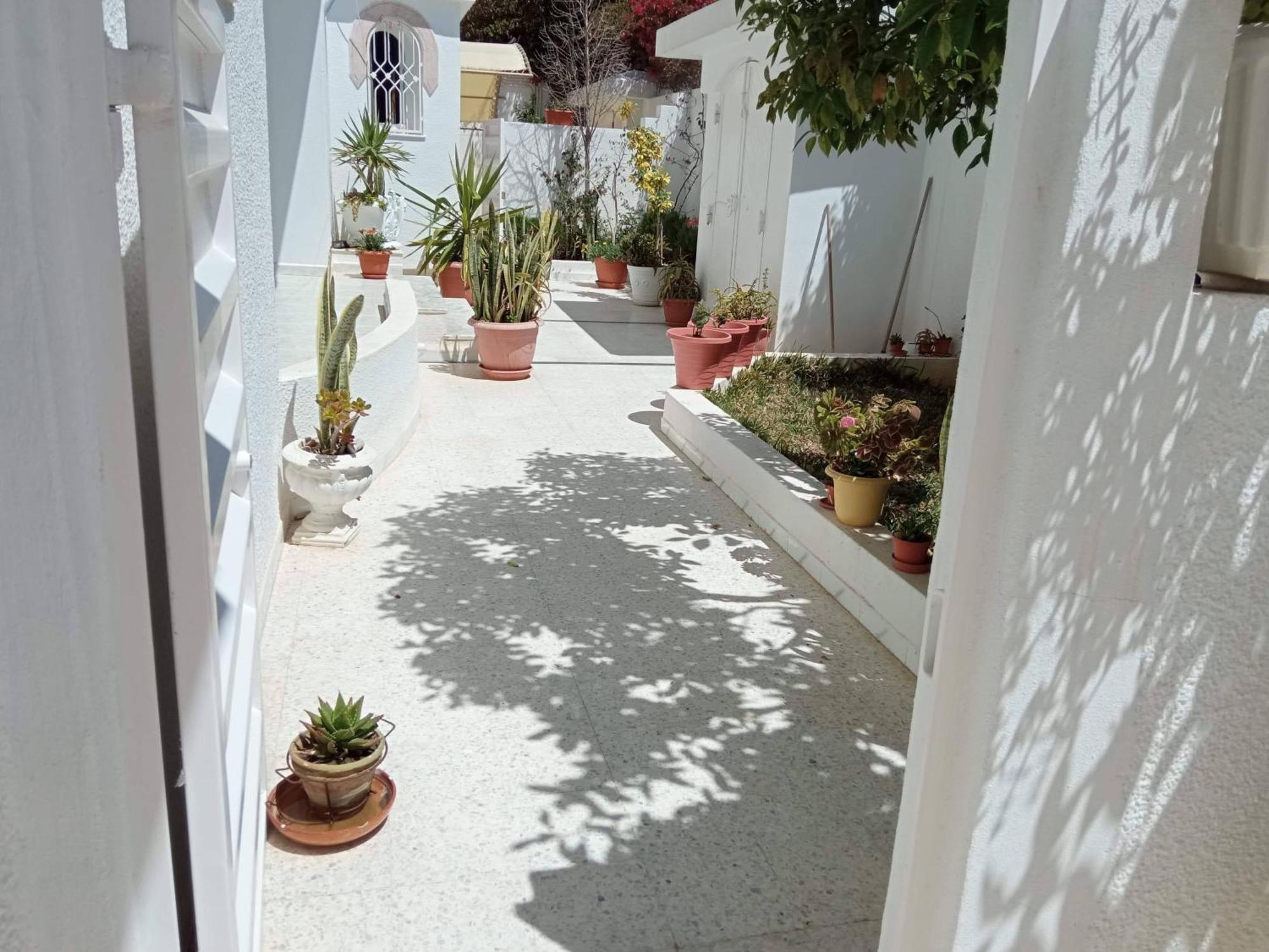 Appartements De Luxe Pres De La Mer Nabeul Extérieur photo